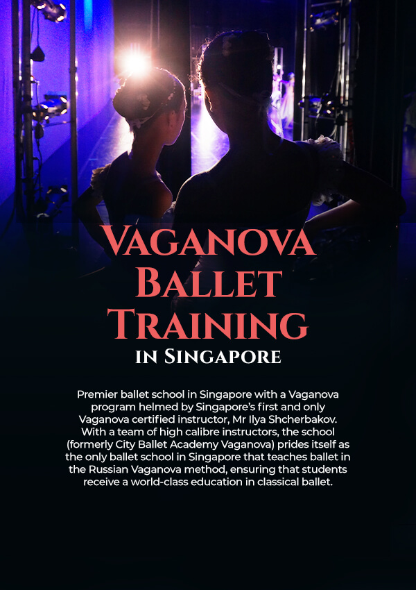 Image 7: Vaganova Ballet Training